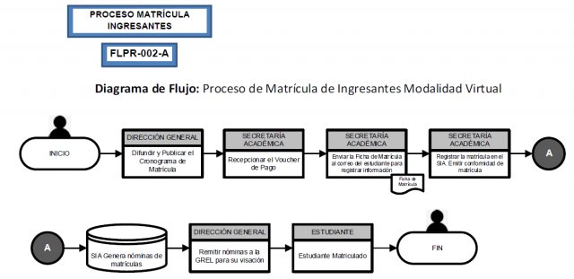 Diagramas de Flujo Proceso de Matrícula Ingresantes