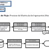 Diagramas de Flujo Proceso de Matrícula Ingresantes